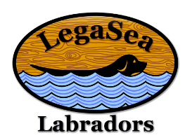 LegaSea Labradors